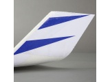 E-flite Opterra 2M Wing BNF 1989 mm